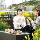 호텔 봄 이미지