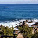 영덕바닷가솔밭펜션 이미지