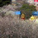 매화유치원 이미지