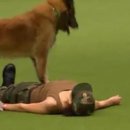 군산 소방소 이미지