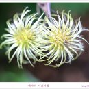 화원 이미지