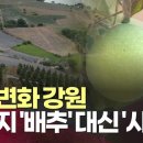 대신기획 이미지