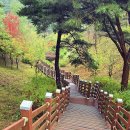 삼선산 수목원 이미지