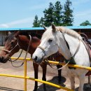 뷰 제주하늘 이미지