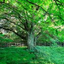 혼자 가는 여행도 이렇게 좋을 수 있다는 거 아시나요 이미지