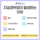 포그니병원 이미지