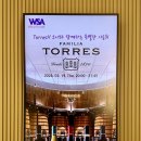 에꼴데쁘띠 | 스페인에서 가장 유명한 와이너리 TORRES의 한국 시음회 후기 (feat. 미레이아 토레스 이사) 🗓️260319