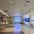 비에이치씨(BHC)롯데몰점 | 서울 실내 4살 아이랑 가볼만한곳 은평구 볼베어파크 롯데몰점 후기