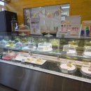 정아애견 이미지