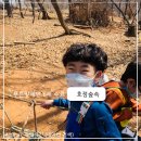 호정숲속어린이집 이미지