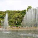 머물다 ▼여수 이미지