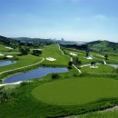 골프드래곤 이미지