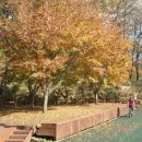 남한강 자전거길 이미지