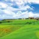 디오픈스크린골프존 이미지