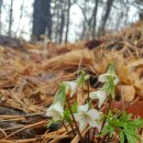 한천약수터 이미지