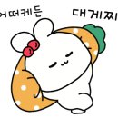 아이엘스튜디오 이미지