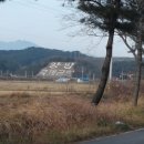 상운리 농로 네이버블로그