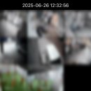 승민애견 | 강아지 훈련은 언제부터? 시로가 알려주는 &#39;첫 교육&#39;의 중요성 [대구 애견훈련소]