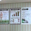 동막골시골집