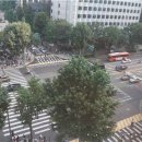 서울프라자 횡단보도 이미지