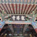 용주사 | [25. 10. 08] 사도세자를 위한 정조의 효심을 담은 용주사 방문 후기