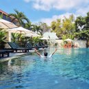 꾸러기미술 | 호이안 올드타운 근처 숙소 M빌리지 리조트 조식 수영장 후기