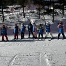 경희 태권 히어로즈 이미지