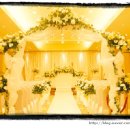 뉴영남식당 이미지