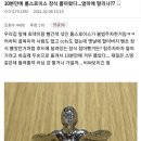 자유장식 이미지