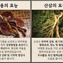 달인의산삼