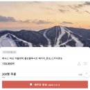 [내돈내산 찐리뷰] 제트스키샵 이용후기 | 휘닉스파크 렌탈샵 의류 장비 및 강습 가격 비교 및 스키장...