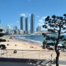 샤워하는운동화 이미지