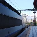 NR-31[새마을로]-하-574 | 8월의 마지막 날 관광열차 및 임시열차 출사기! 2019.08.31(토)