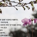 연산동고분군 이미지