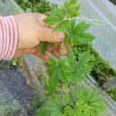 이가농장 이미지