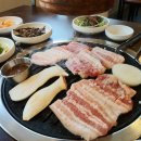 화로숯불구이제주본가 | 화로숯불구이 제주본가에서 먹은 생갈비살 솔직후기! 제주시갈비 찾는다면 외도동맛집 여기어때?!!
