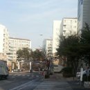 장지마을 앞 버스정류장 이미지