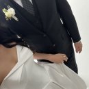 모니스튜디오 | 대구웨딩스튜디오 대구세미앙 촬영 당일 후기 및 원본사진 ㅣ 촬영시안(ppt) 공유