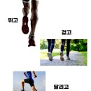 복주초등학교 이미지