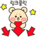 특별한 동물가게 이미지