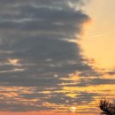 봉산화장실 이미지