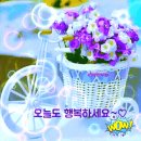방글이마트