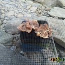 이여사맛집 이미지