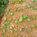 구석농장 이미지