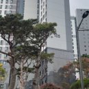 놀이터 존 이미지