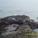 양남주상절리 이미지