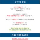 연세안마취통증의학과의원 | 넘어지면서 허리 골반 통증 50대 여성 치료 증례, 역곡 연세안마취통증의학과