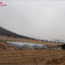 노변주유소 이미지