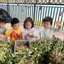 솔유치원 이미지