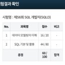 비전공자의 현실적인 SQLD 56회 시험 합격 후기 및 4주 공부법(독학)🙌